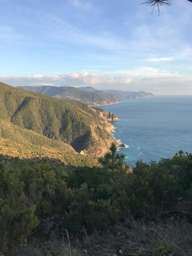 La Casa Di Ester Lavagna Eksteriør billede